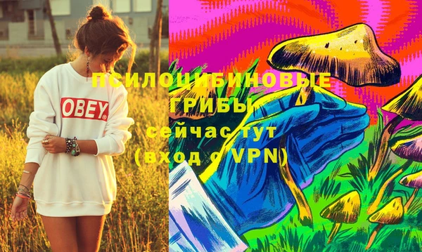 гидропоника Нея