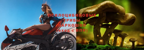 кокаин премиум Бикин