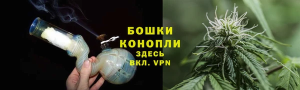 гидропоника Нея