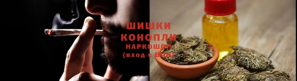 ПСИЛОЦИБИНОВЫЕ ГРИБЫ Новодвинск