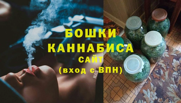 индика Надым