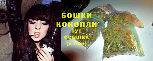 mdma Новозыбков
